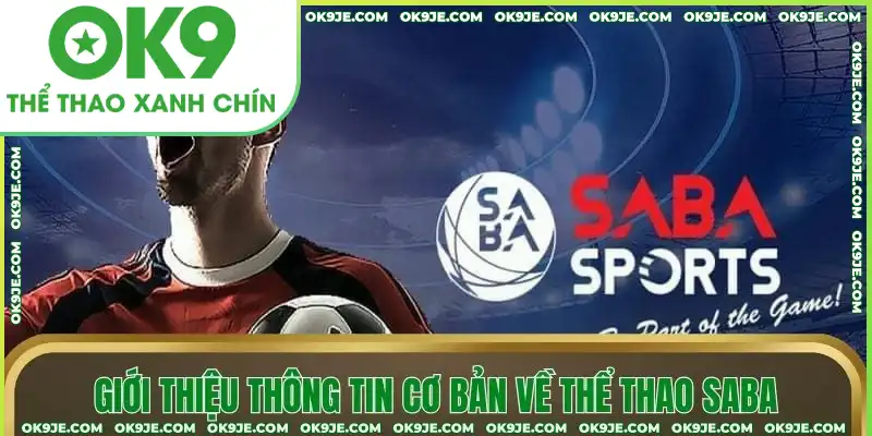 Giới thiệu thông tin cơ bản về thể thao SABA